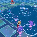 山王公園花びら満開