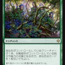 赤緑・聖域アグロ