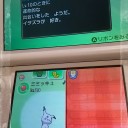 色違いミミッキュのいじっぱり