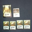 GP静岡