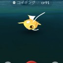 金のコイキング