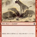 ハイエナ
