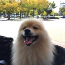 庭の冬支度
