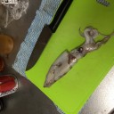 【飯テロ】リアル・スプラトゥーン