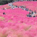 茨城県・・・観光編（最下位？）