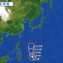 【 残ったのは２羽 】／ひなの死骸が海岸に散乱している。