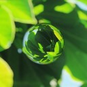 競争をして勝ち「権力」をにぎるようになると他人に対する思いやりが失われる／人見知りなのに「人懐こい」と勘違いされます。　（しらべもの・３）