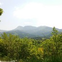 ネオロイヤルでいく静岡