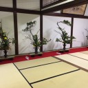 華を見る
