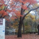 （追記あり。）⇒　【 本日有給！】(`ヘ´)