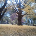 （追記あり。）⇒　【 本日有給！】(`ヘ´)