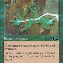 《象の導き/Elephant Guide》型ストンピィ①そもそも何故オーラ？