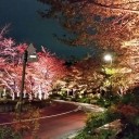 報告を受ける