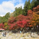 赤・黄・緑・・・