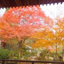 湖南三山　紅葉の長寿寺