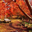 12月3日の日記