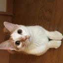 12月03日の日記