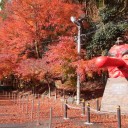 京都回想録【５】