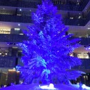 東京クリスマスマーケットと丸の内クリスマス