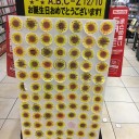 12/15 TOWERmini汐留さん