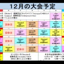 MTG《大会結果》12/24『モダン/Modern』