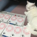 やめてちょ