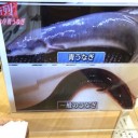 幻の青うなぎ！