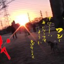 犬までが眺める初日の出