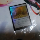 届いた！