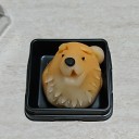 戌年