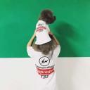 シャネル 犬の服 シュプリーム 犬服 着心地よい犬服 おすすめ