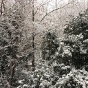 雪だ！ビーフシチューを作ろう！