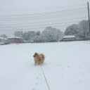 大雪で首都圏混乱