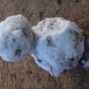 雪やこんこん？