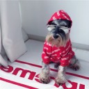 シュプリーム犬服 シュプリーム 犬用ペット服 ファッションニスタの愛犬家必見