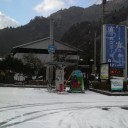 慌ただしい平日