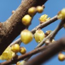 明日から2月