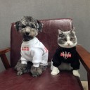 オフホワイト 犬服 シュプリーム 犬とペアルックの服 犬と飼い主がおそろい