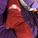 シュプリーム犬の食器 シュプリーム 犬服 supreme犬用品