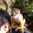 バイオパーク