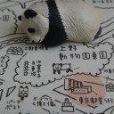 2月24日の日記春