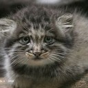 かわいい・・・