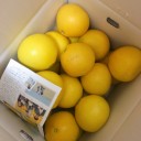 ♡あまおうと文旦♡