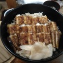 広島最高かよ。
