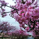 ３月