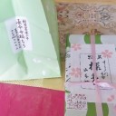 　暖かくなりました春ですネ～