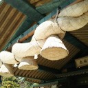 鳥取・島根の旅　⑨出雲大社