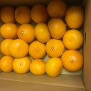 ♡せとか届いた♡