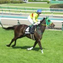 今日の競馬