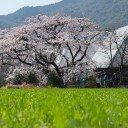 3月25日の日記